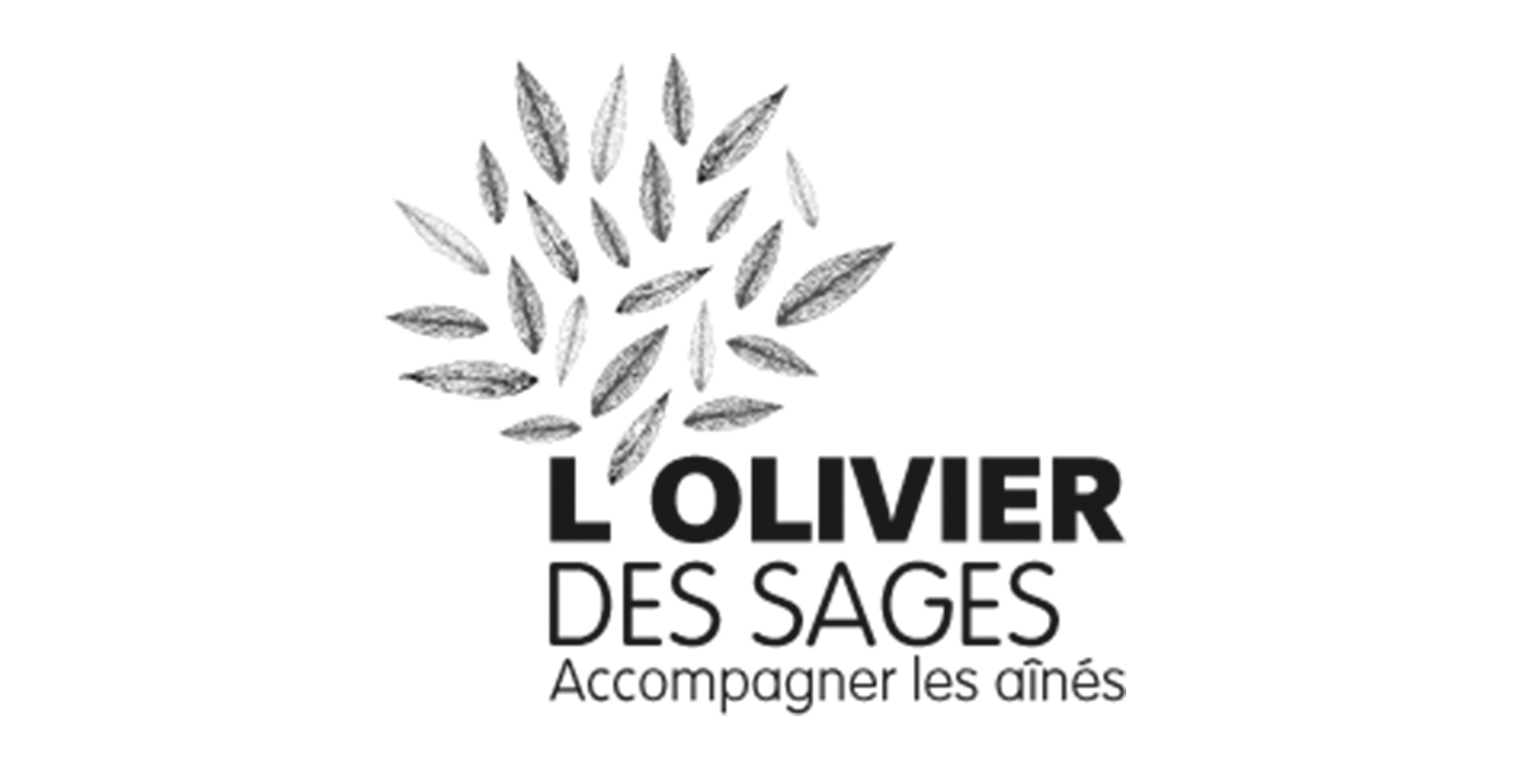 Taverne Gutenberg x L'Olivier des Sages